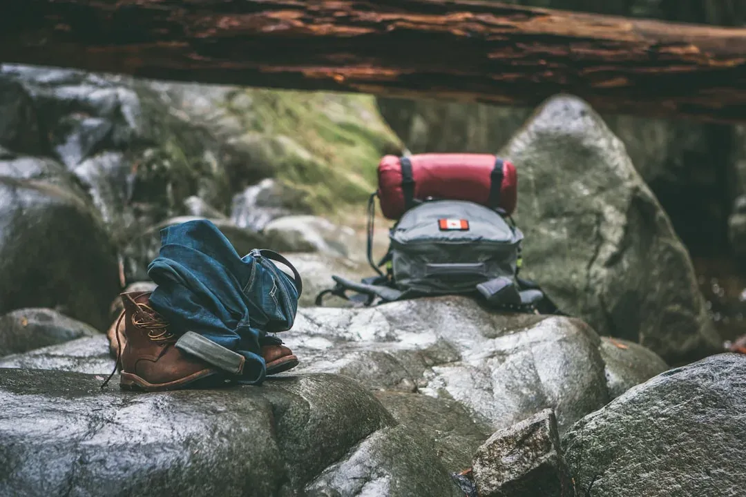 https www.amazon.com osprey-mens-atmos-65-backpacks dp b00u3o8grw Osprey Atmos AG 65L Men's Backpacking Backpack, Black L-XL YGroup_forceofdestructionminibackpack 65 Liters to be G.LOOMIS NRX+ Dropshot Spinning Reel/Spool:3 Pack Set
