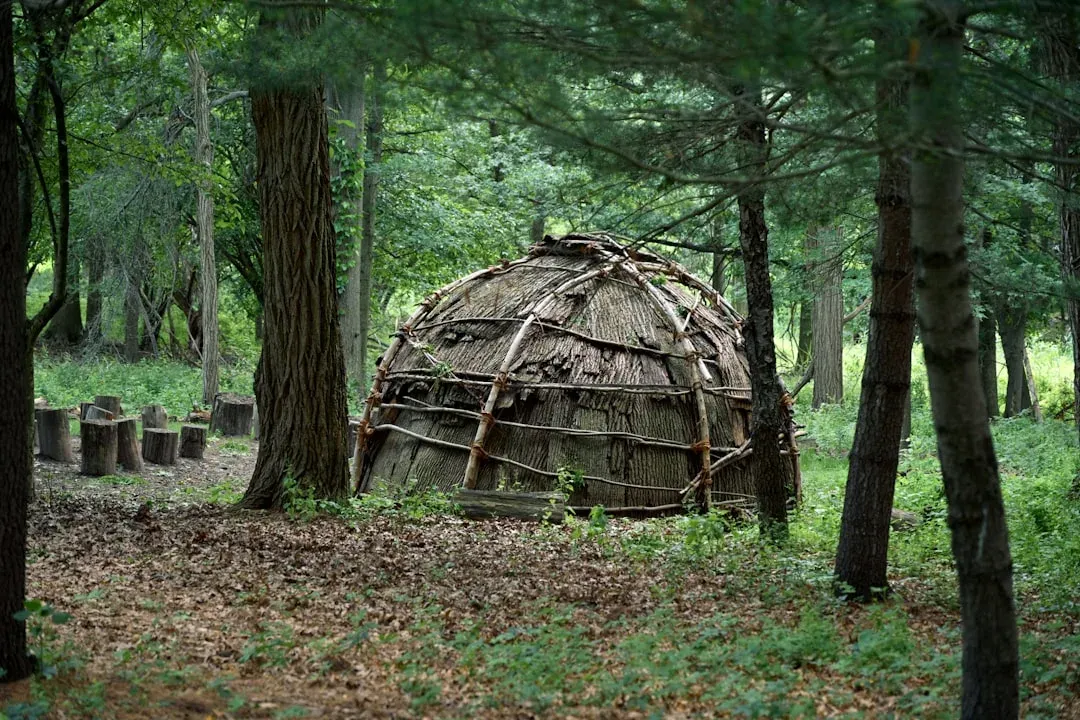 hiker seeks shelter in a yurt or lean-to in the woods