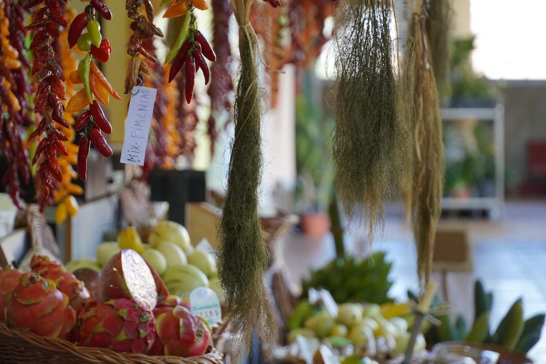 The Azores in Funchal