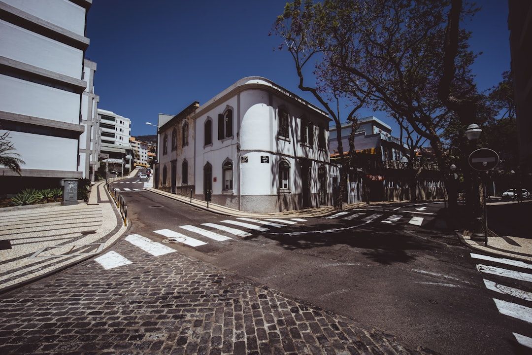 Madeira's levadas in Funchal