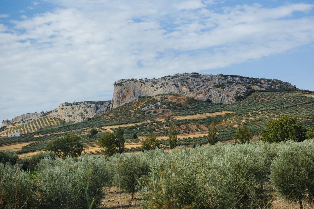 Spain countryside nature landscape