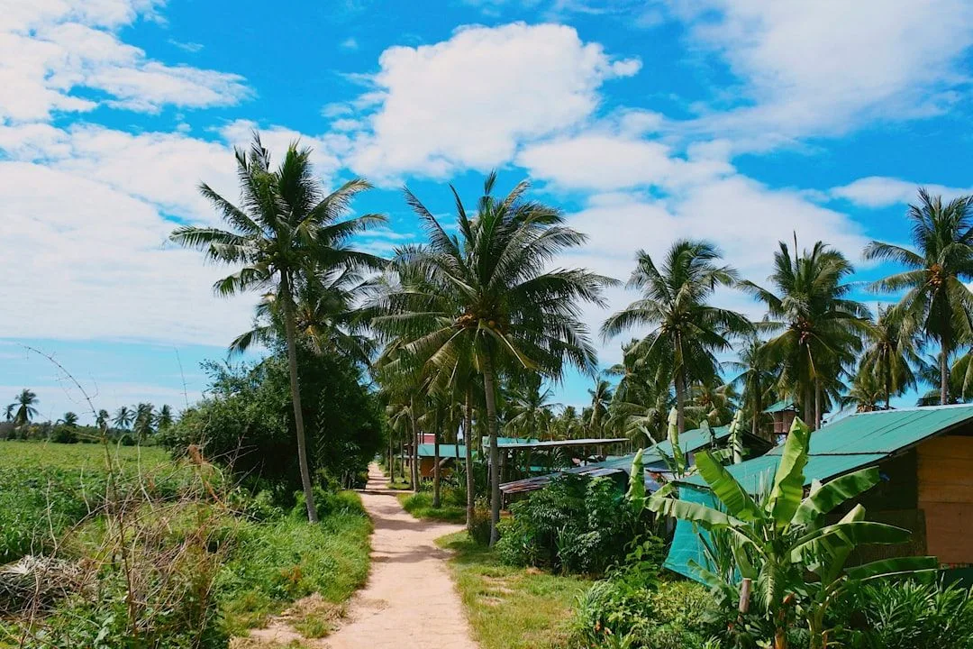 Thailand: Jungle Walking Is a Different Skill