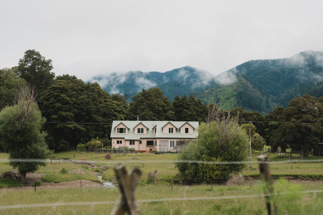 The Great Walks and the alternatives in Nelson