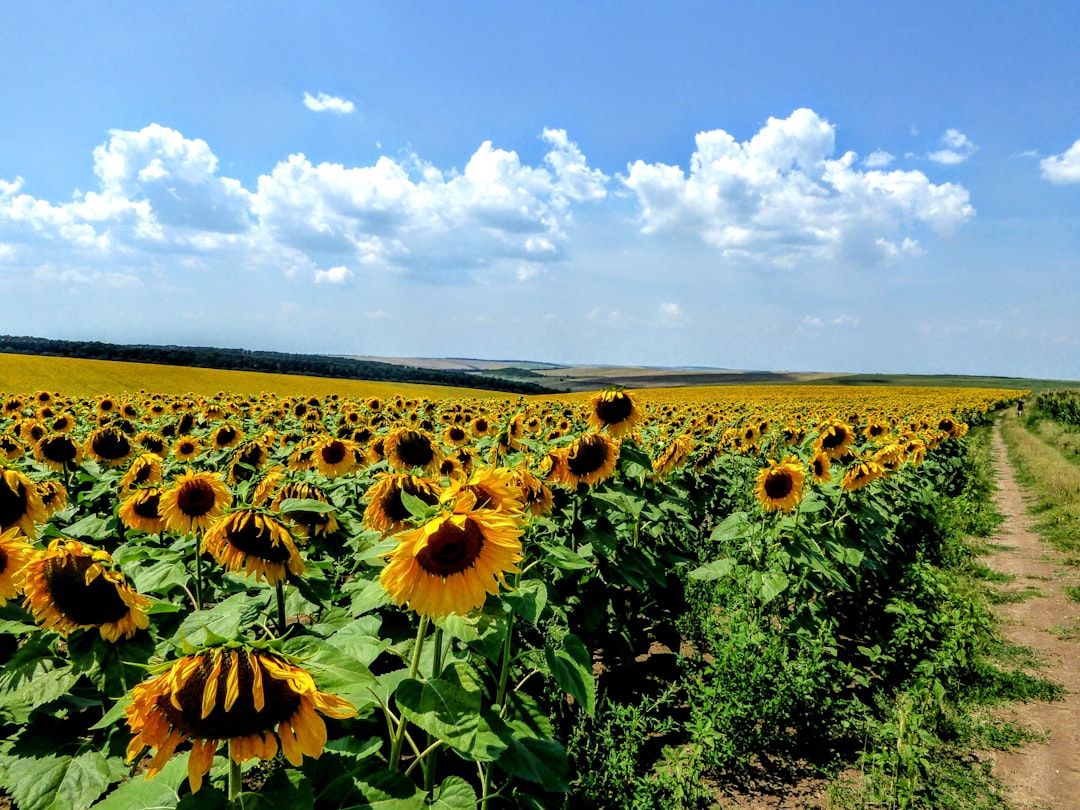 Bulgaria countryside nature landscape