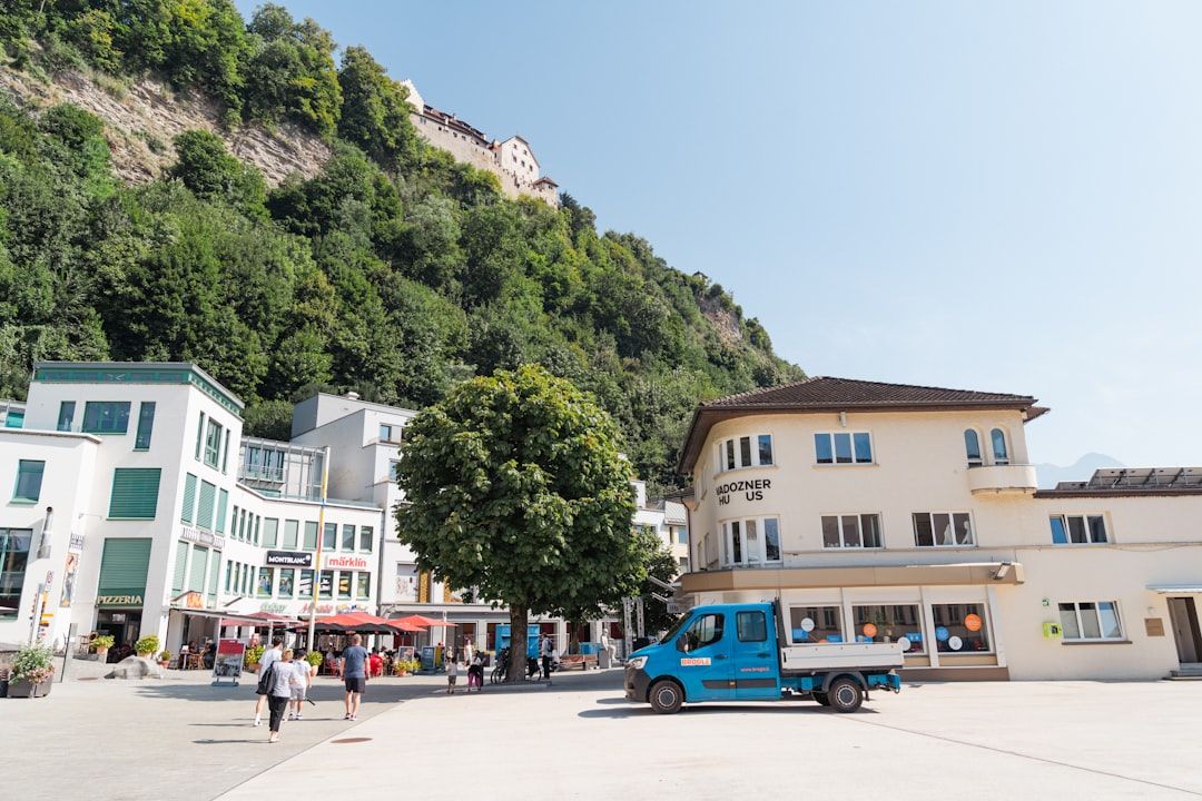 Liechtenstein street market local life